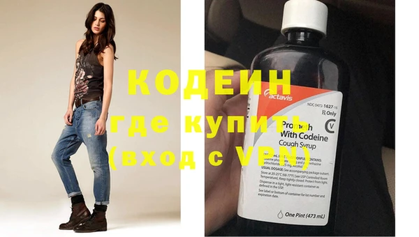 индика Балабаново