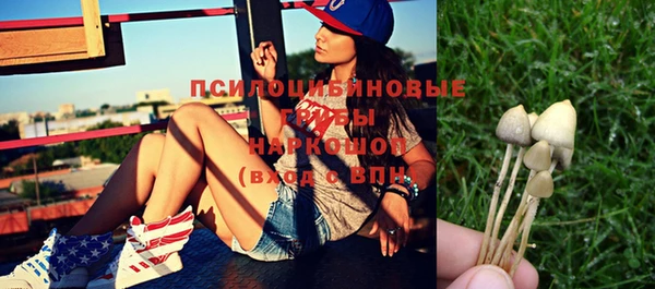 индика Балабаново