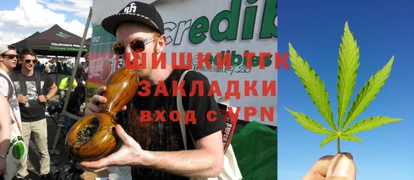 индика Балабаново